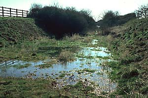 Flood in cutting near Alvescot