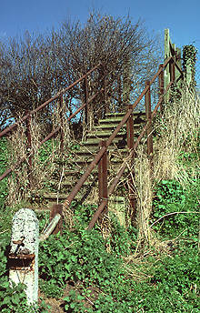 Steps to Carterton Station