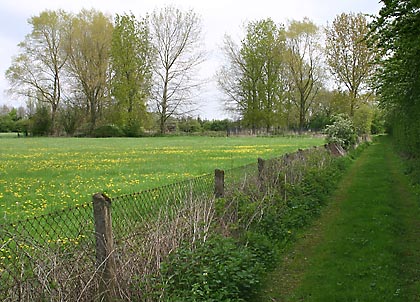 The path to Cassington Halt