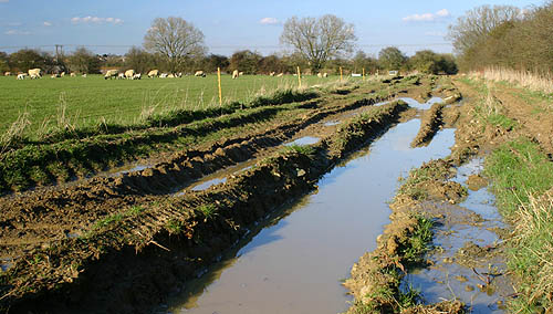 Trackbed near the Ducklington to Curbridge road