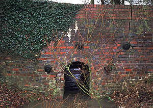 Elm Bank Ditch bridge