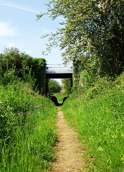 Kelmscott & Langford bridge