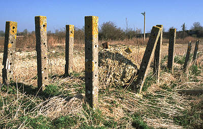 Kelmscott & Langford cattle dock