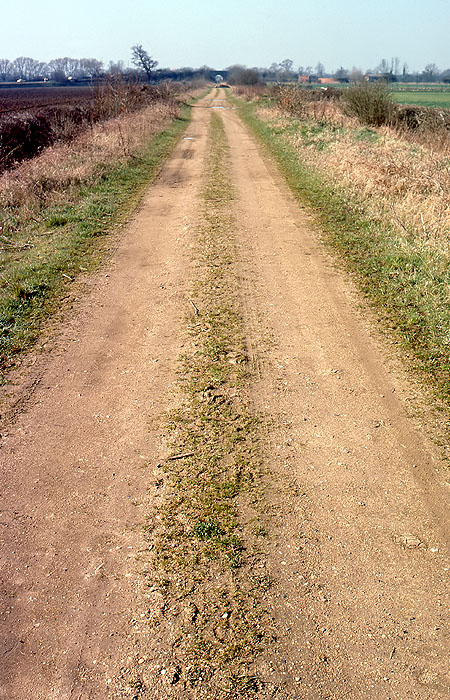 Trackbed between Yarnton and Cassington